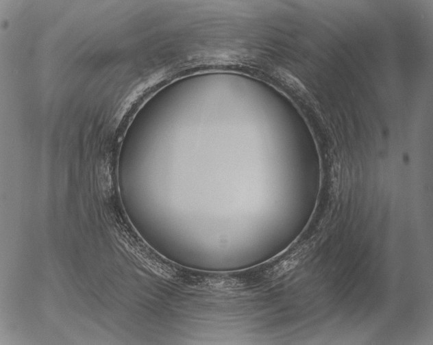 X0000056001218200509021655