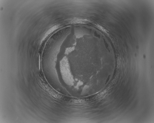 X0000056001219200509021655