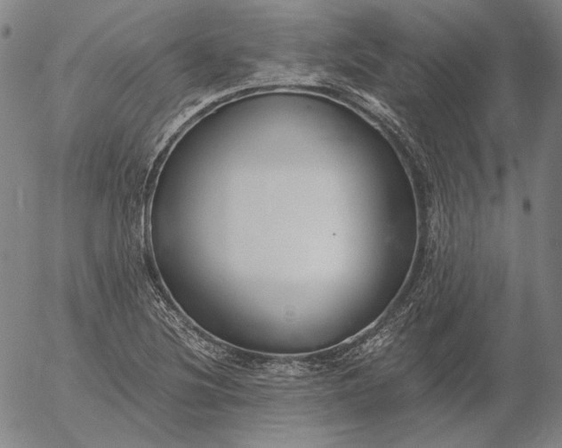 X0000056001220200509021655