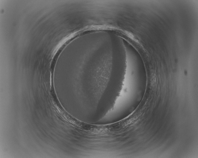 X0000056001221200509021655