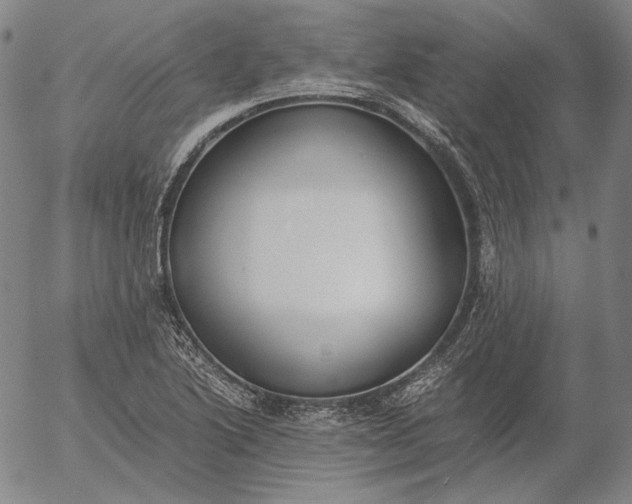 X0000056001222200509021655