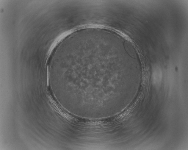 X0000056001223200509021655