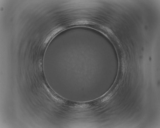 X0000056001225200509021655