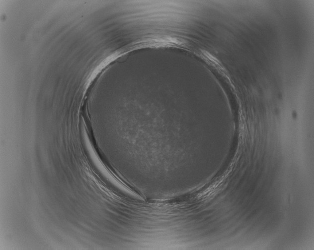 X0000056001226200509021655