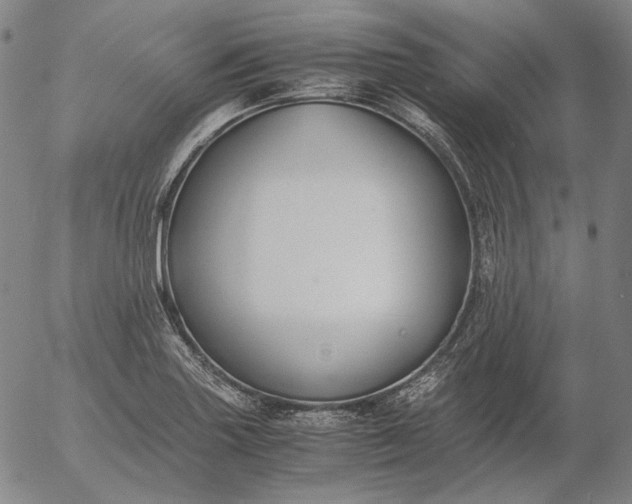 X0000056001227200509021655