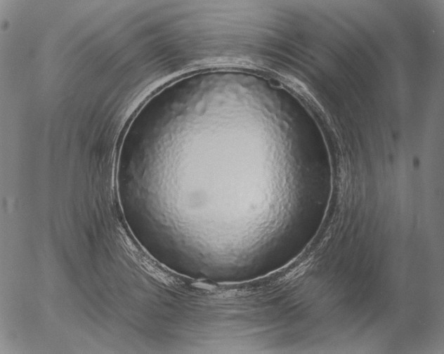 X0000056001228200509021655