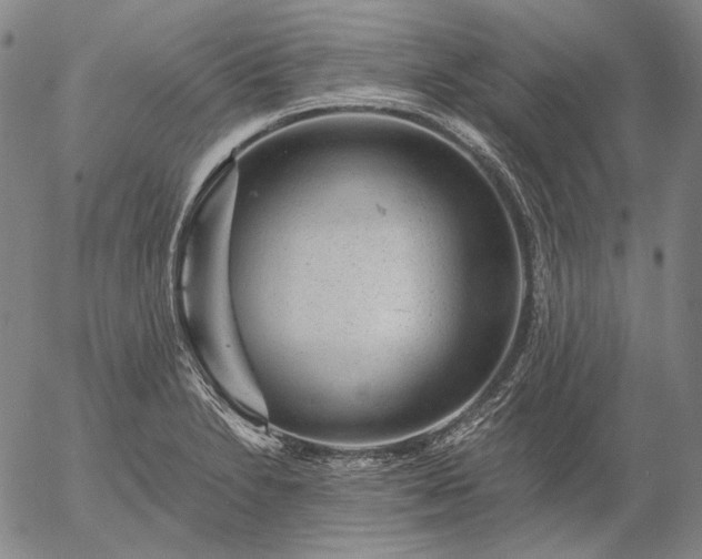 X0000056001230200509021655