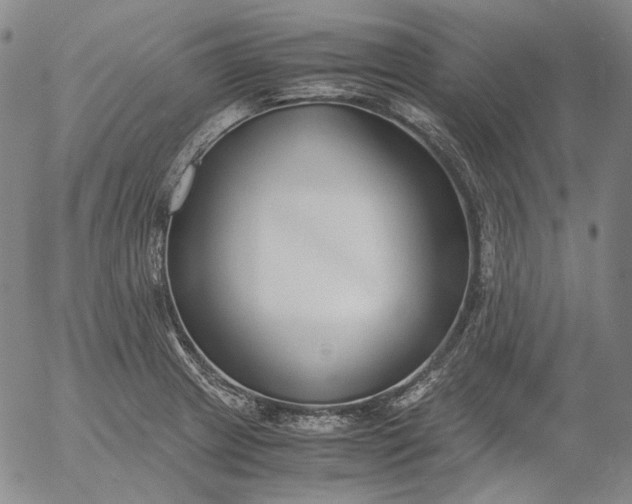 X0000056001233200509021655