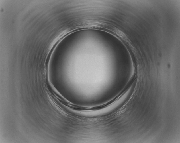 X0000056001234200509021655