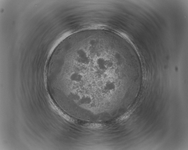 X0000056001235200509021656