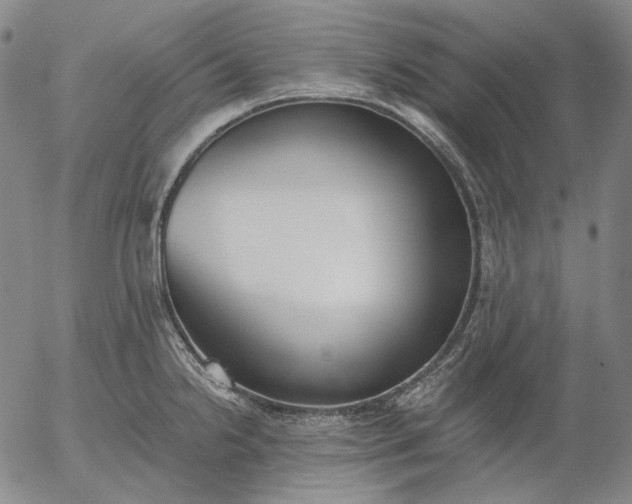 X0000056001238200509021656