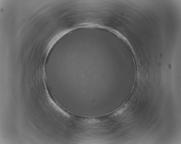 X0000056001239200509021656