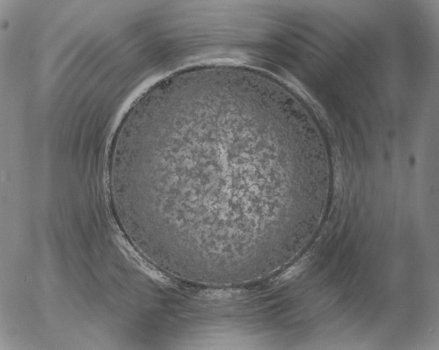 X0000056001240200509021656