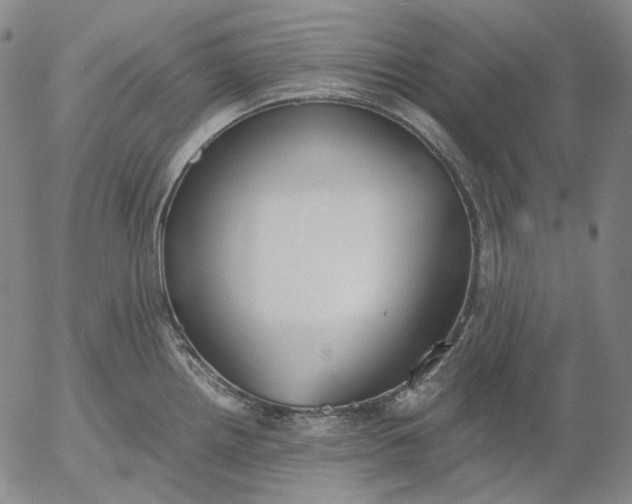 X0000056001242200509021656