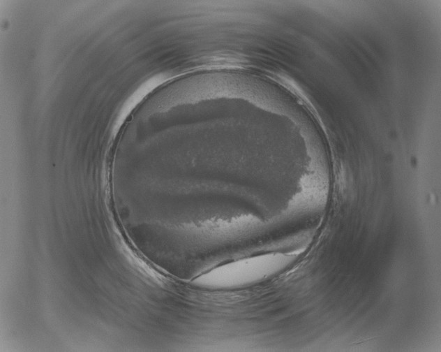 X0000056001243200509021656