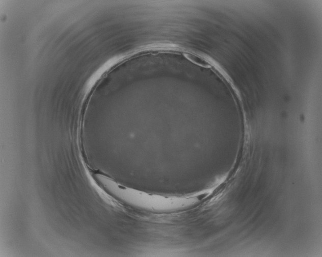 X0000056001245200509021656