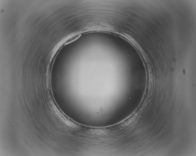 X0000056001246200509021656