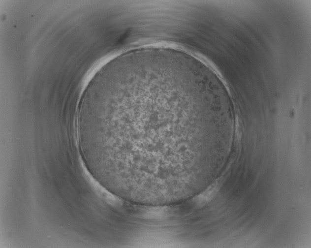 X0000056001247200509021656