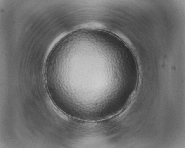 X0000056001248200509021656