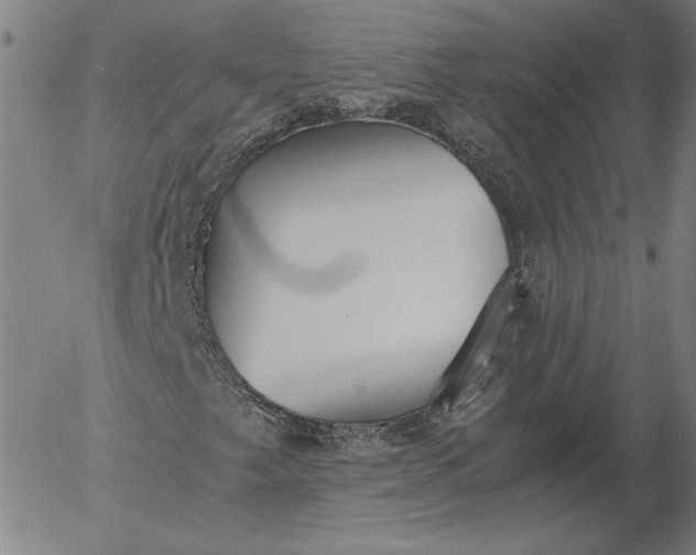 X0000056001249200509021655