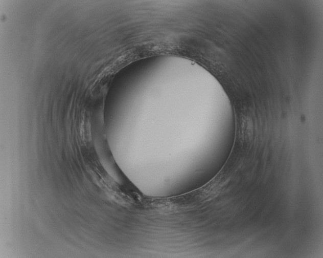 X0000056001250200509021655