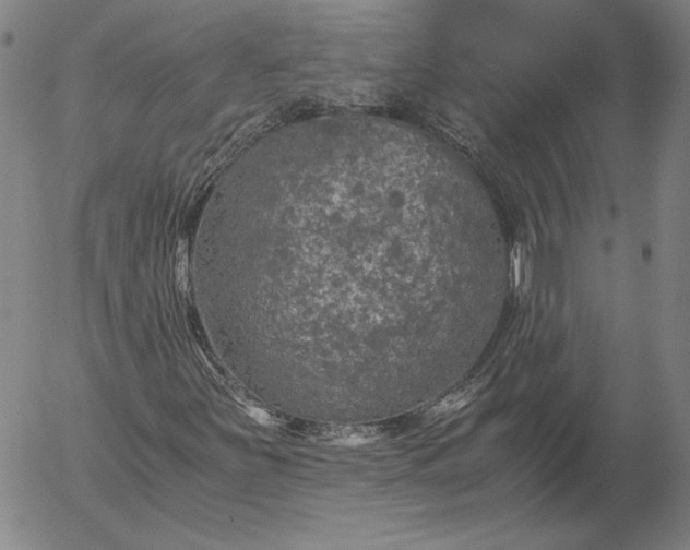 X0000056001251200509021655