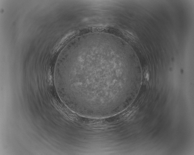 X0000056001252200509021655