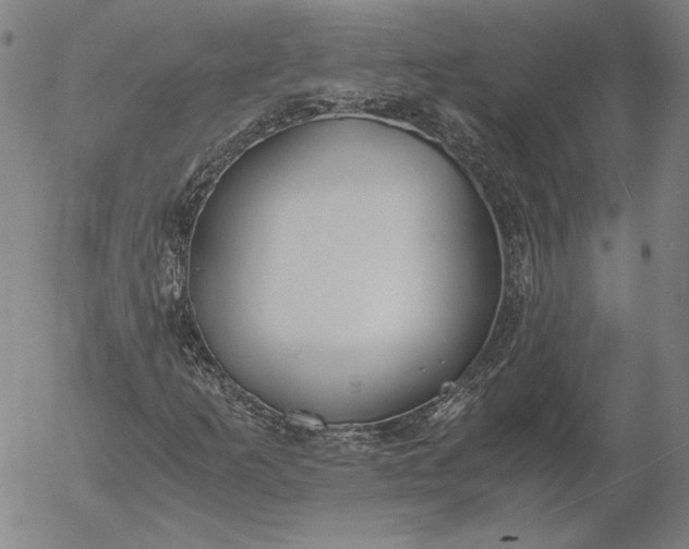 X0000056001253200509021655