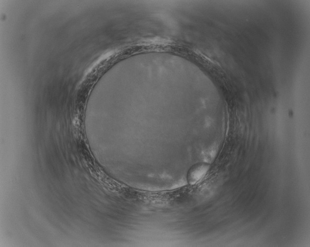 X0000056001254200509021655