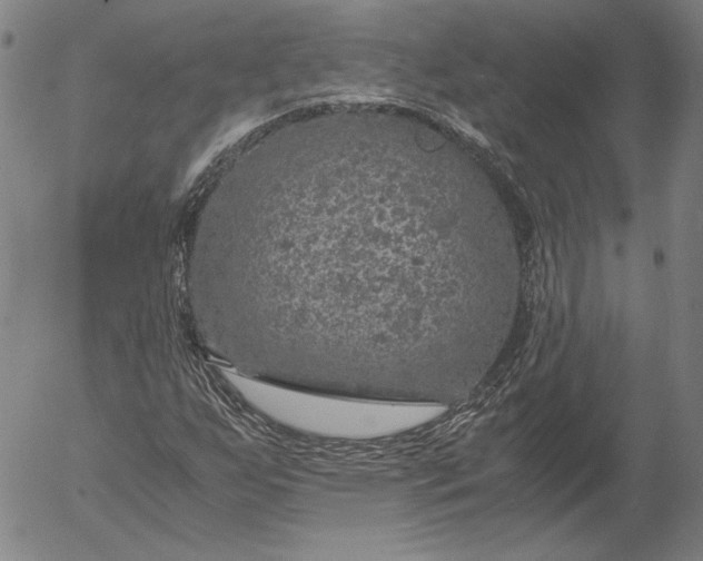 X0000056001255200509021655