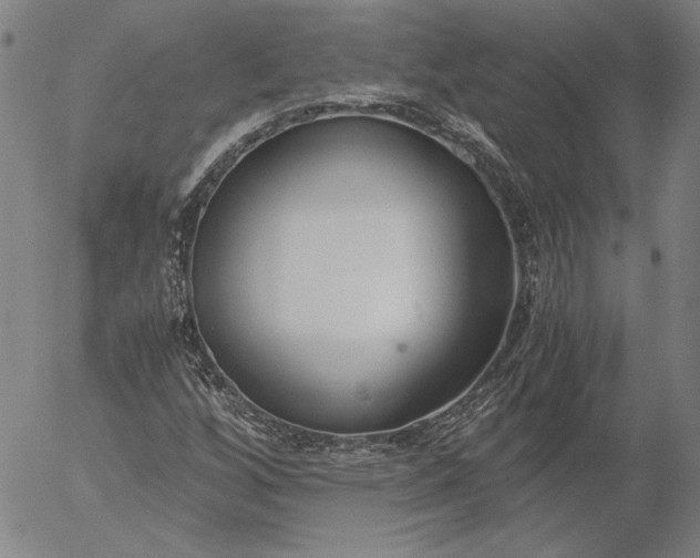 X0000056001256200509021655