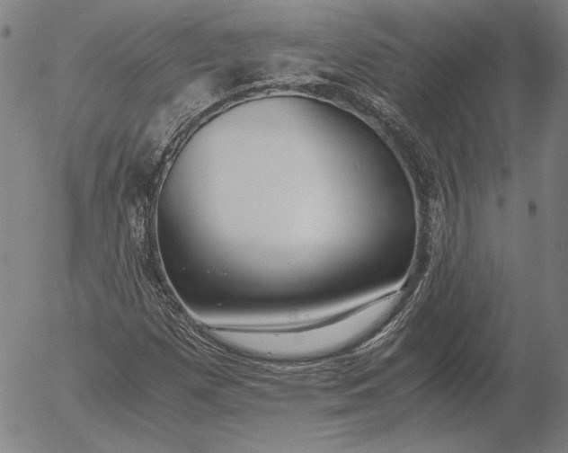 X0000056001257200509021655