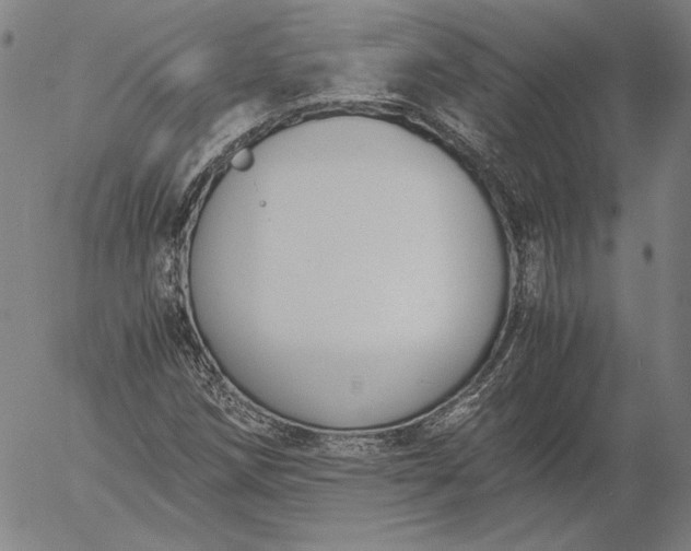 X0000056001258200509021655