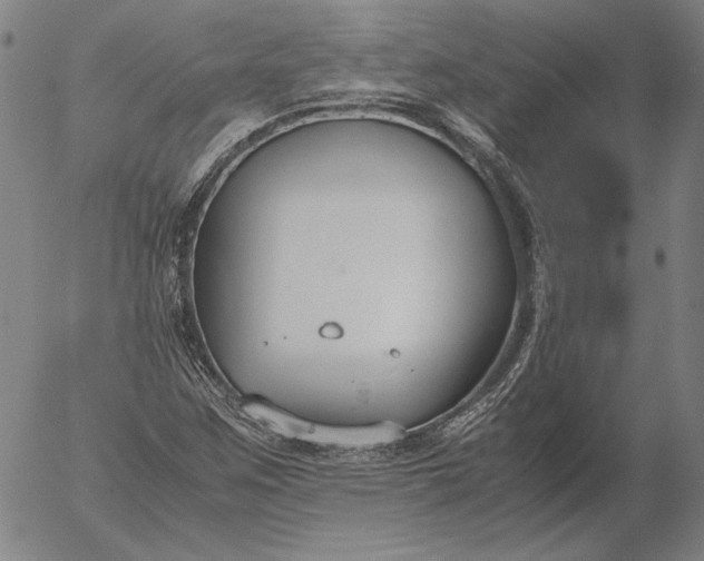 X0000056001259200509021655