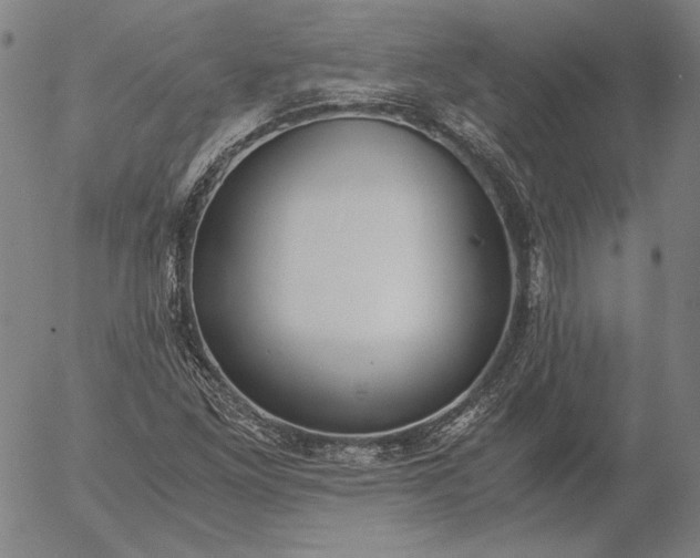 X0000056001261200509021655