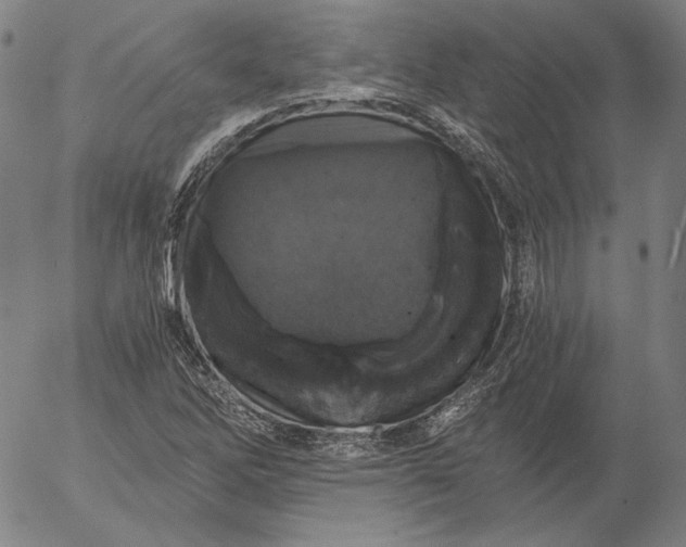 X0000056001262200509021655