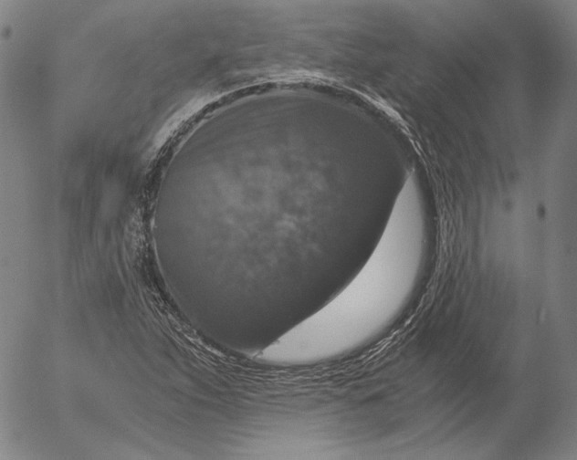 X0000056001263200509021655