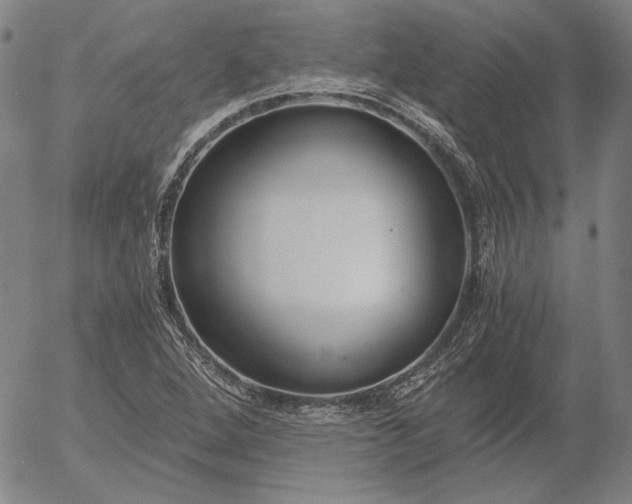 X0000056001264200509021655