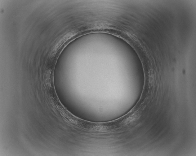 X0000056001265200509021655