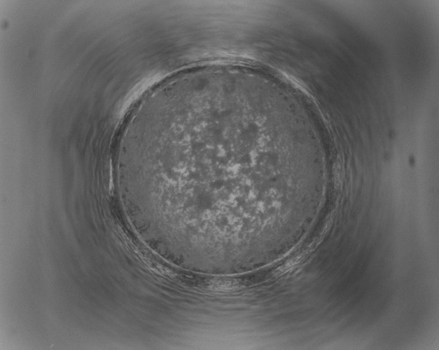 X0000056001267200509021655