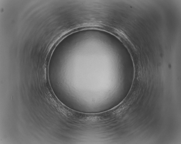 X0000056001268200509021655