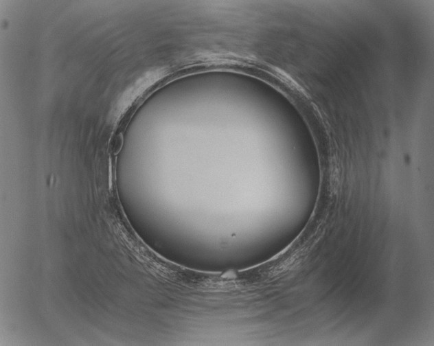 X0000056001269200509021655