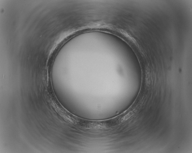 X0000056001270200509021655