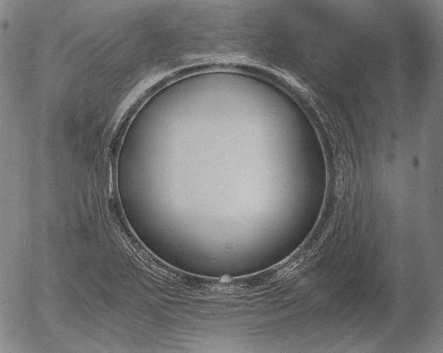 X0000056001271200509021655