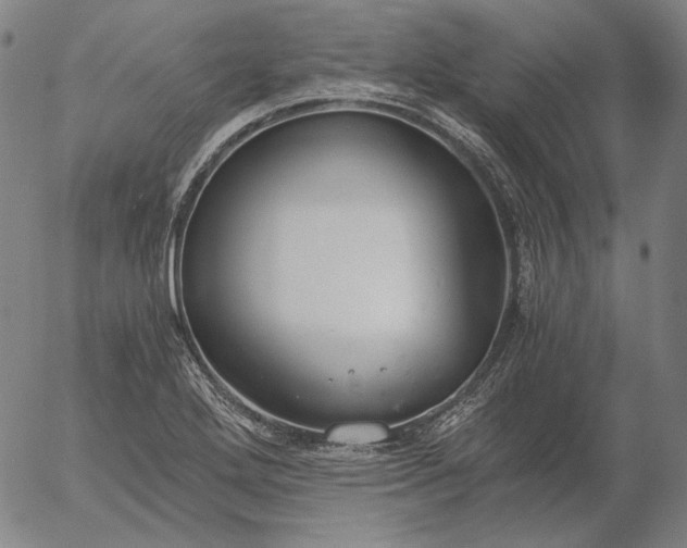 X0000056001272200509021655