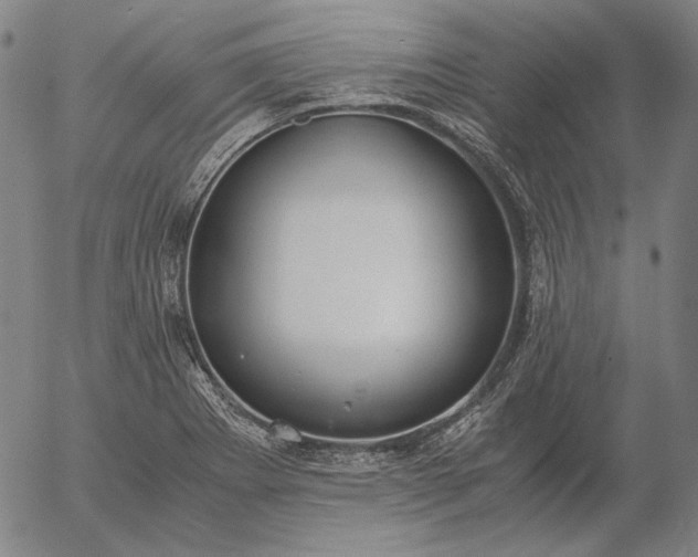 X0000056001273200509021655