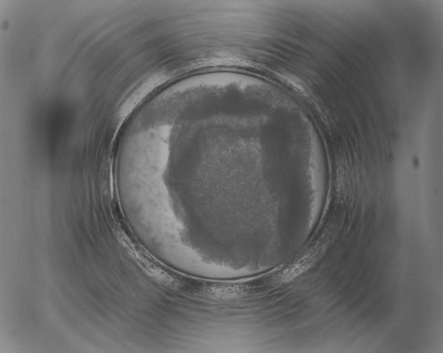 X0000056001274200509021655