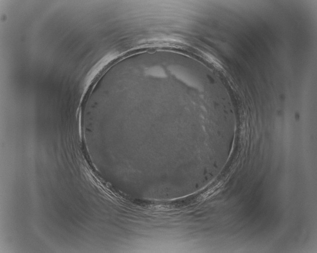 X0000056001275200509021654