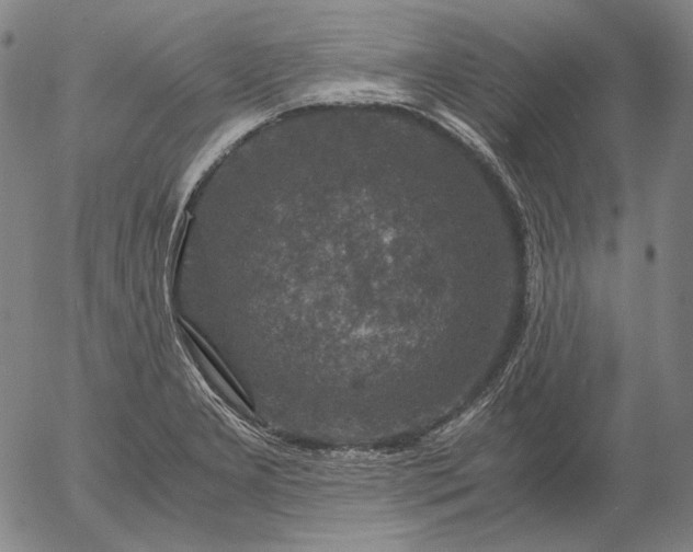 X0000056001277200509021654