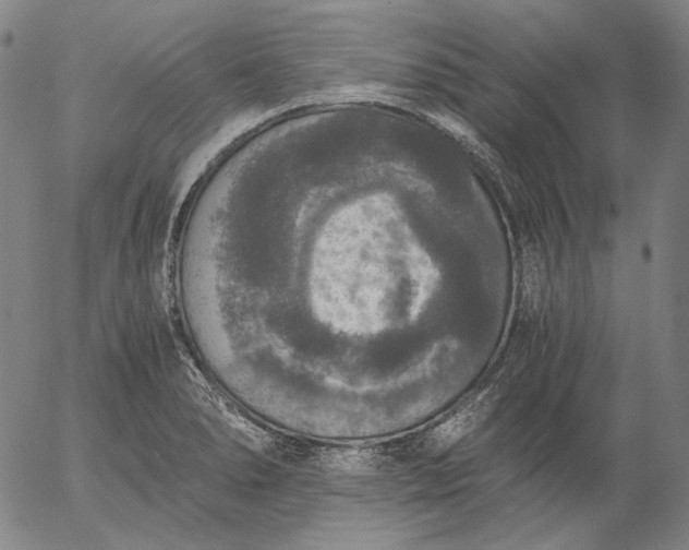 X0000056001278200509021654